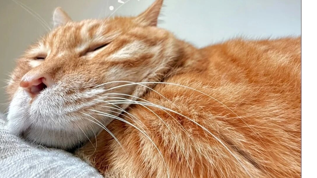 全英雄全圣物等级全满，慢慢记录自己对各英雄的吐槽