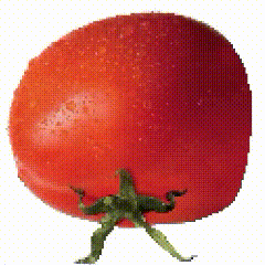 身体，已经变成艾希的形状哩