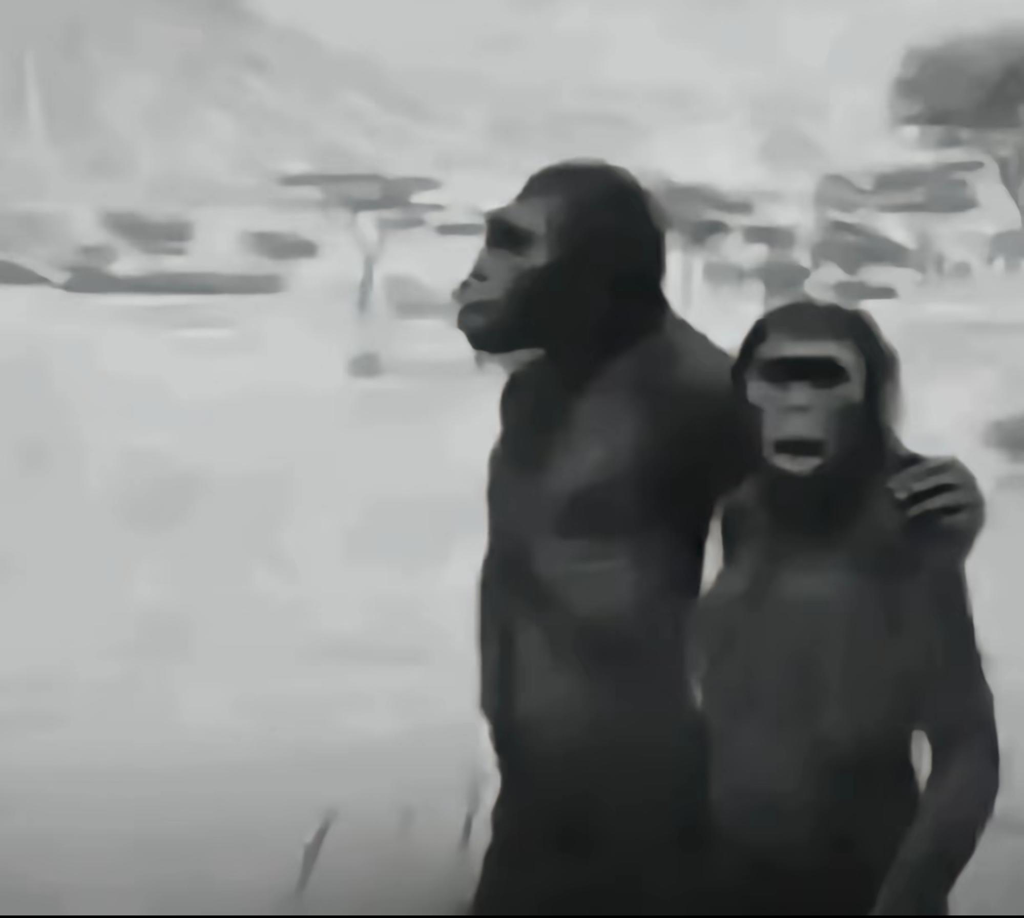 聊聊现版本吧。