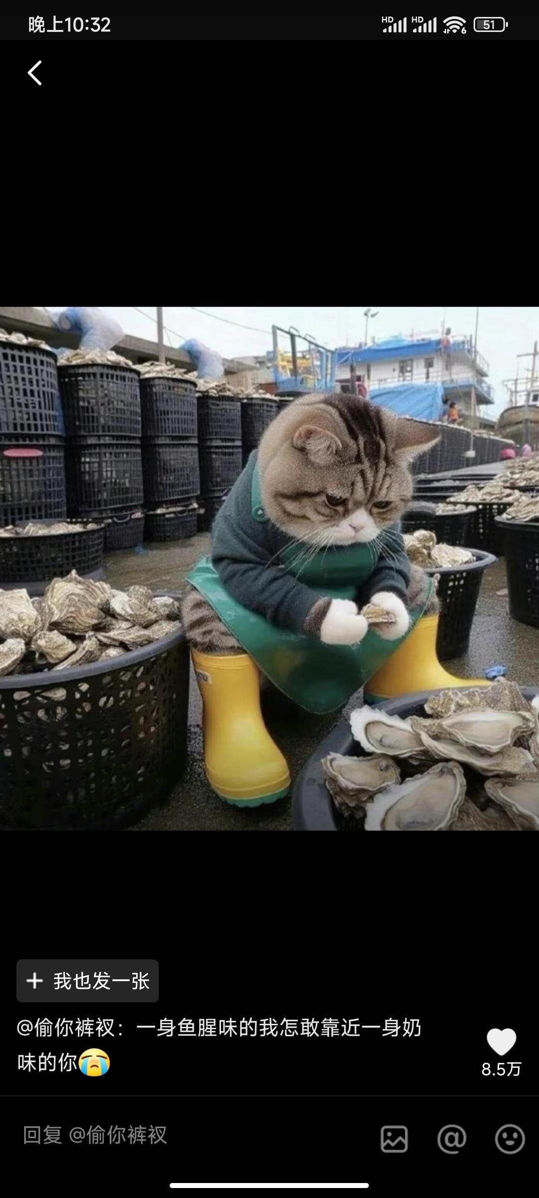 给问山海团队提点建议