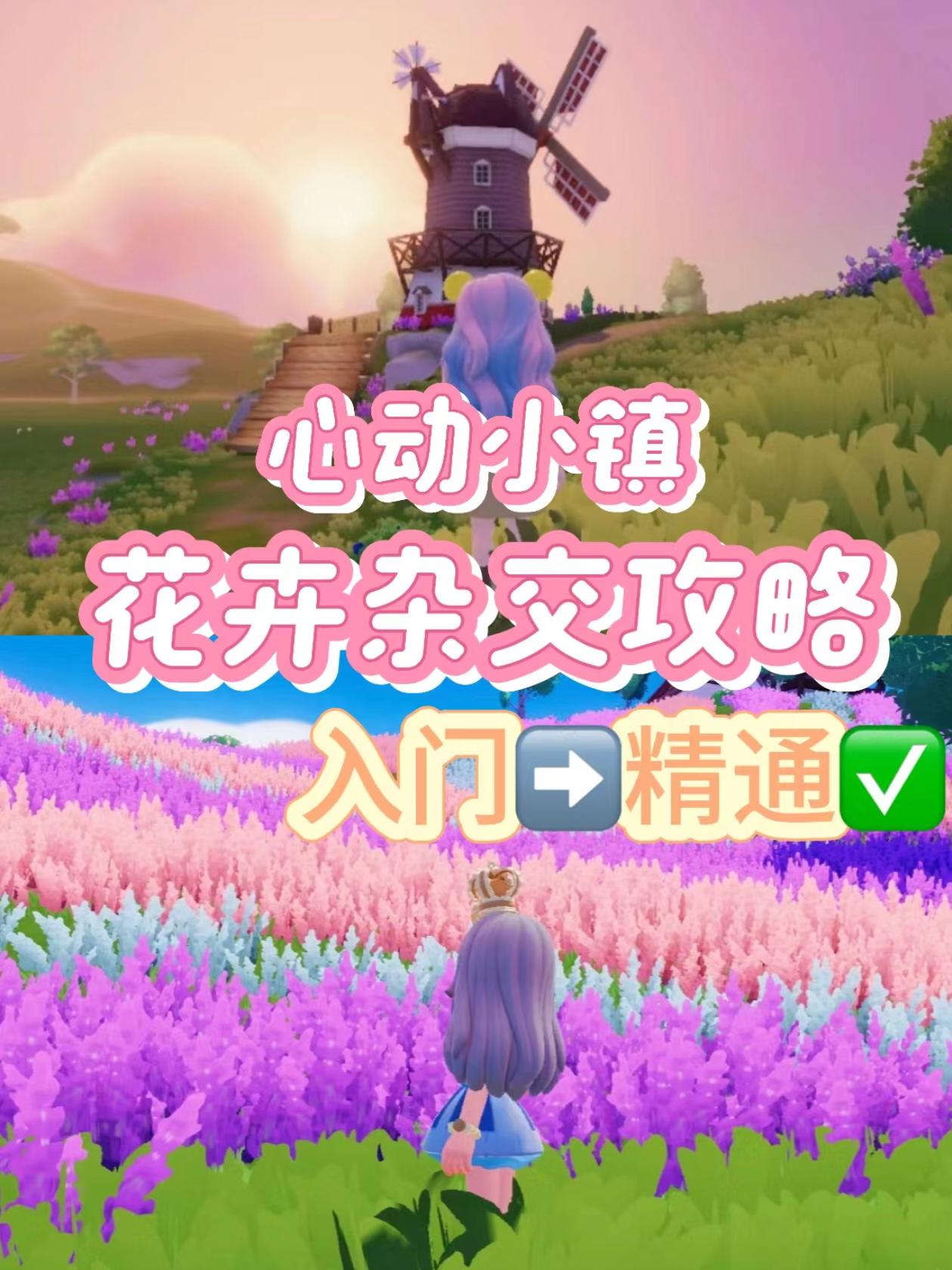 心动小镇花卉攻略 带你精通花卉杂交截图