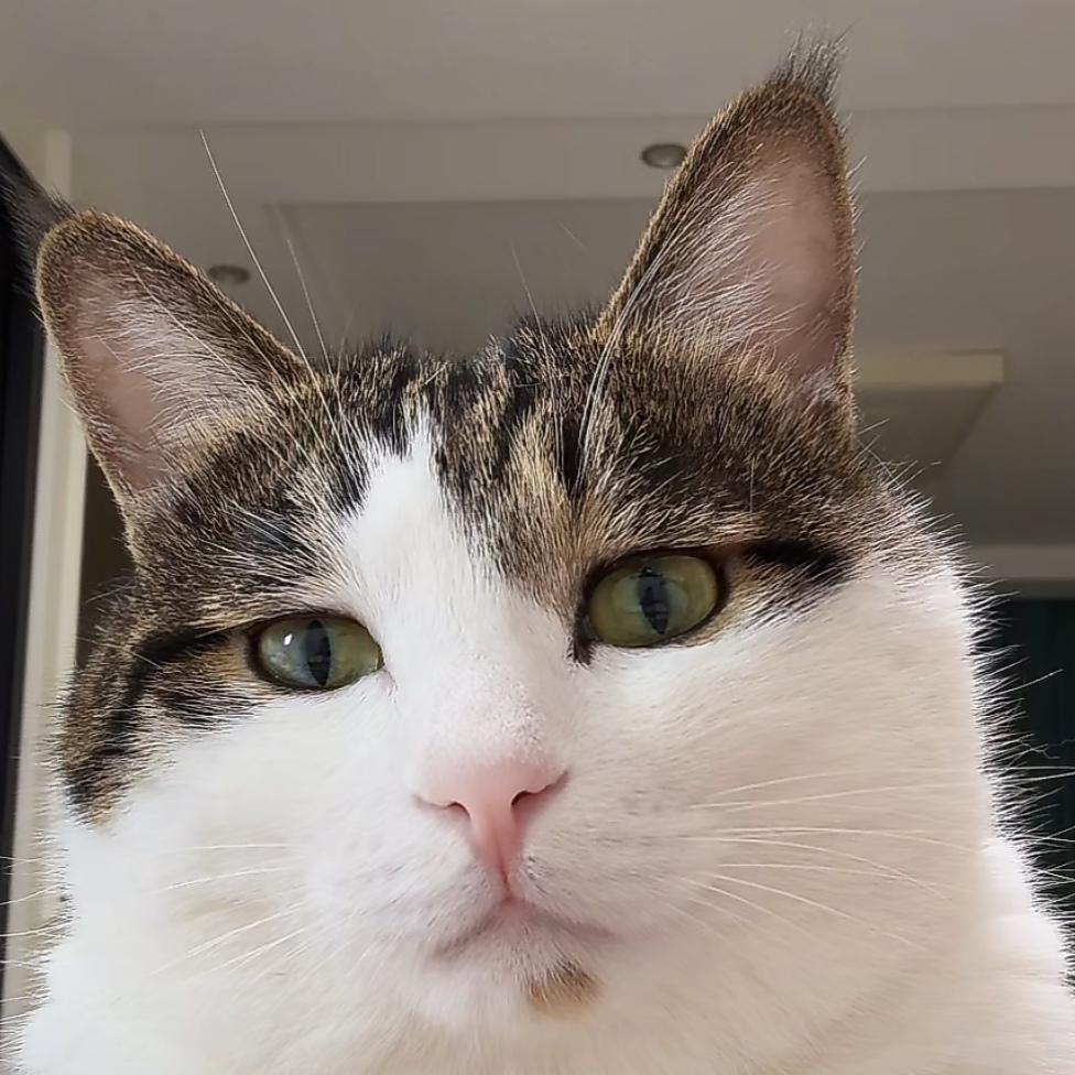 基于目前内容的玩法建议贴