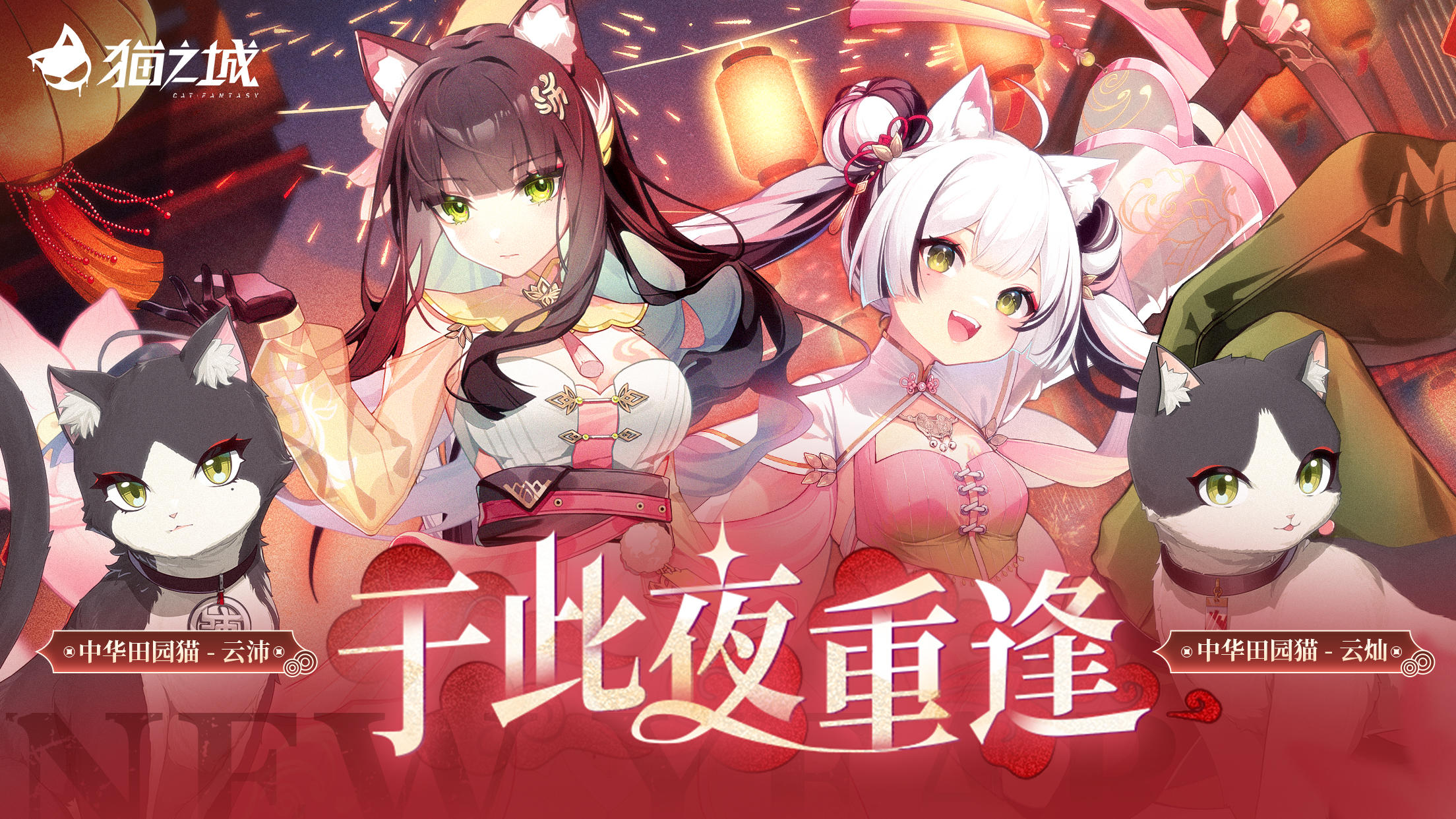 🏮「于此夜重逢」即将开启🏮