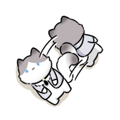 ( '-ωก̀ ) ZZzzzz…