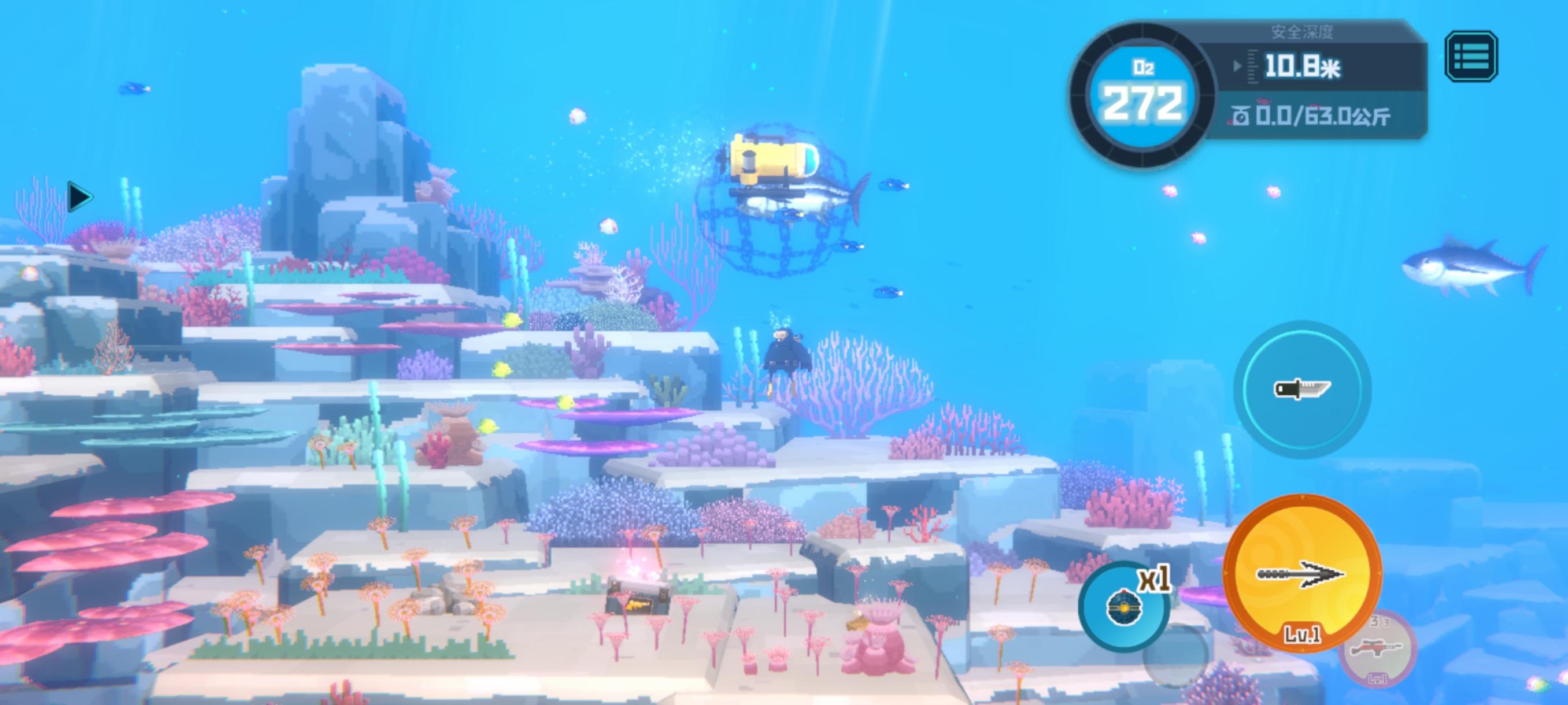 美丽的水下风景