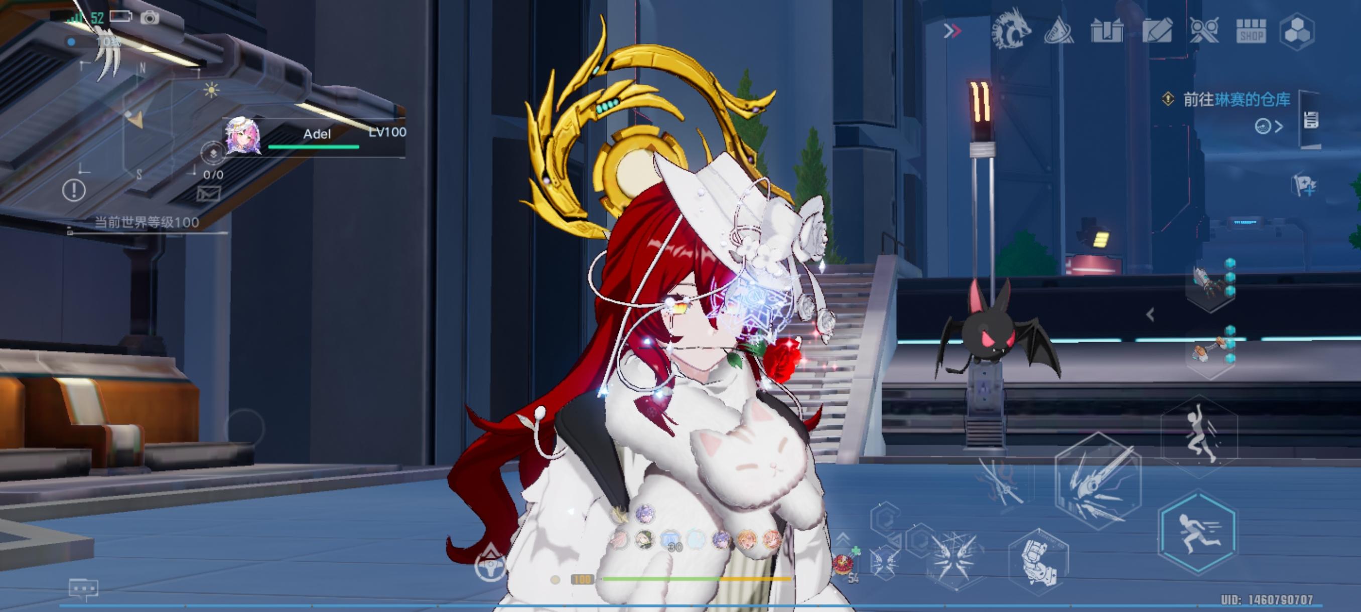 猫咪围巾，无敌了