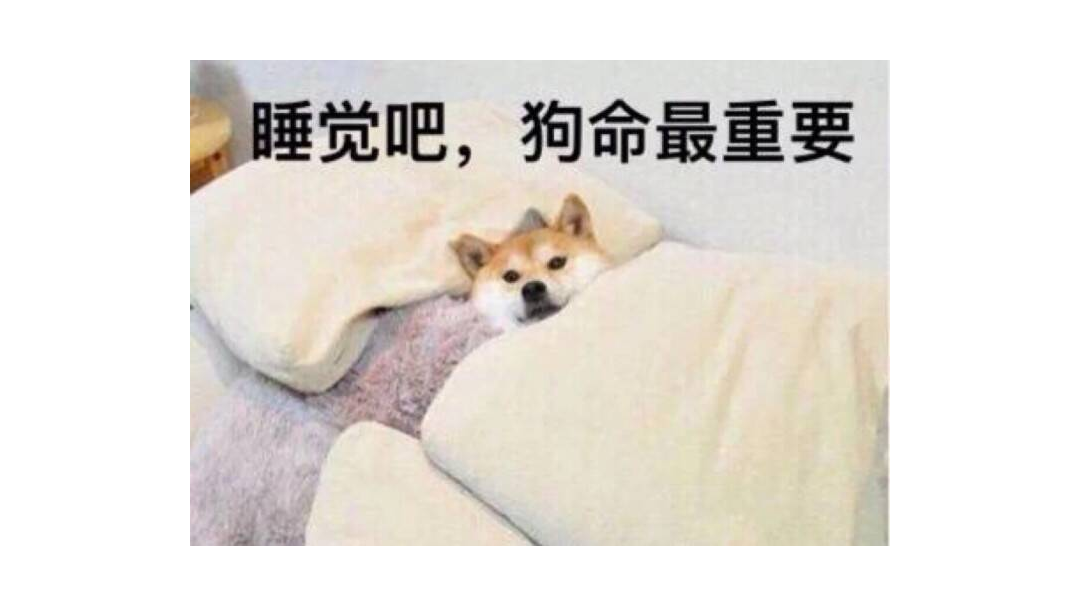 玩过小一年个人总结