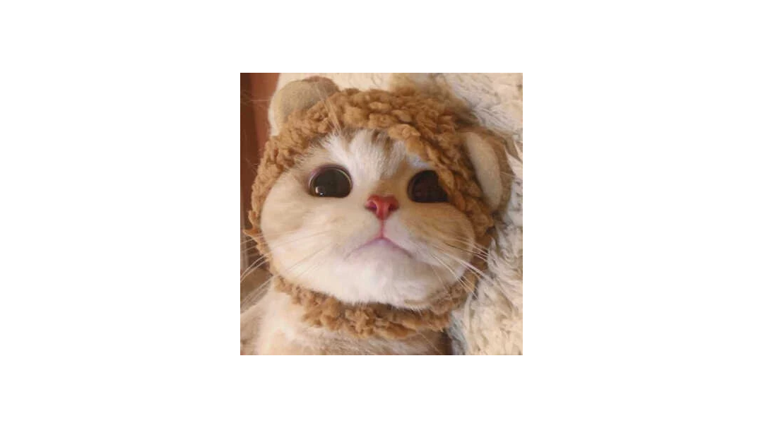 是兄弟就进来砍我