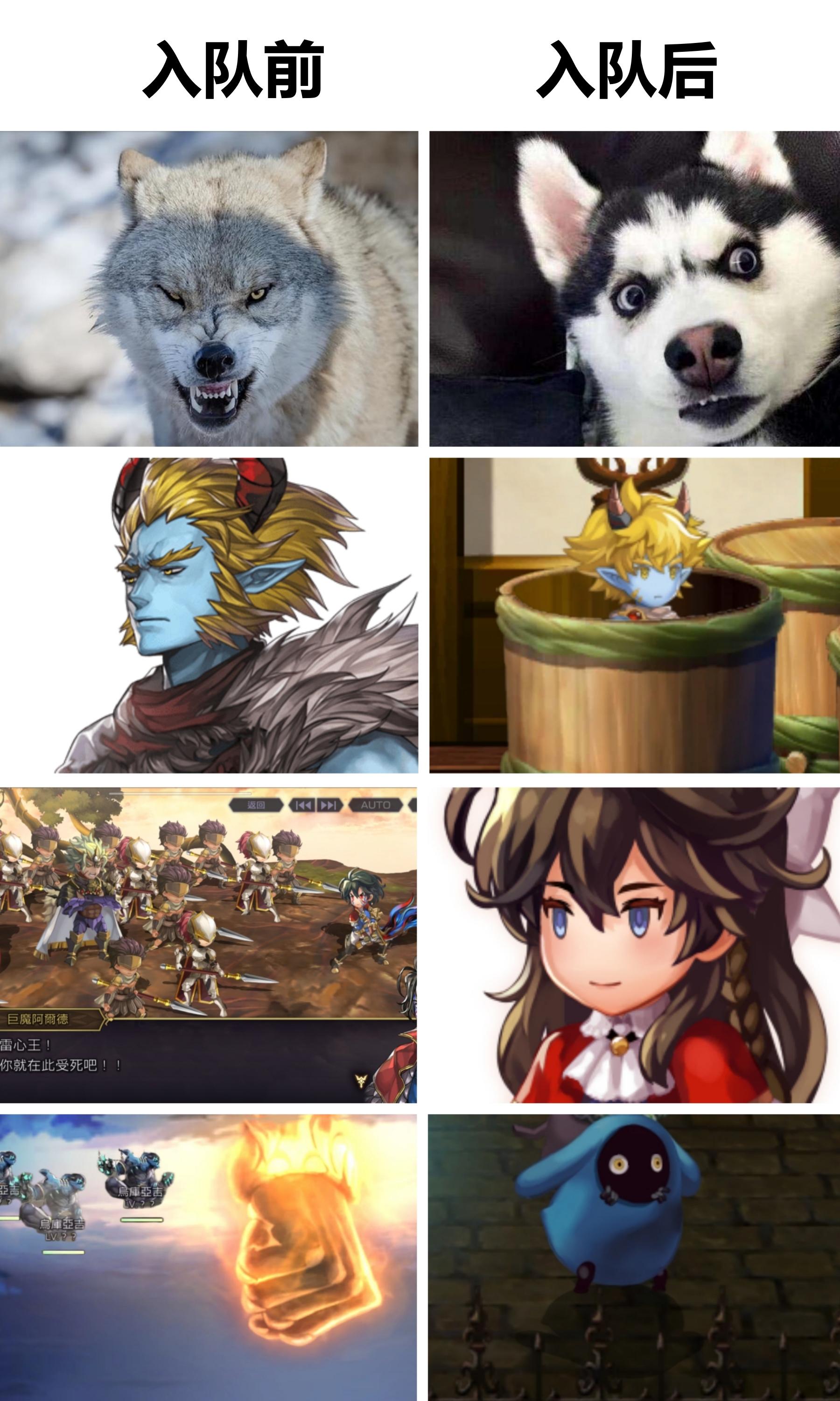 【整活】经典老梗：入队前VS入队后.JPG（附个开奖）