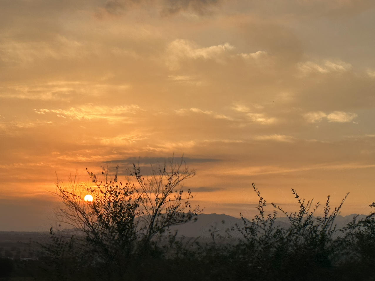 该死的晚霞，怎么这么美截图