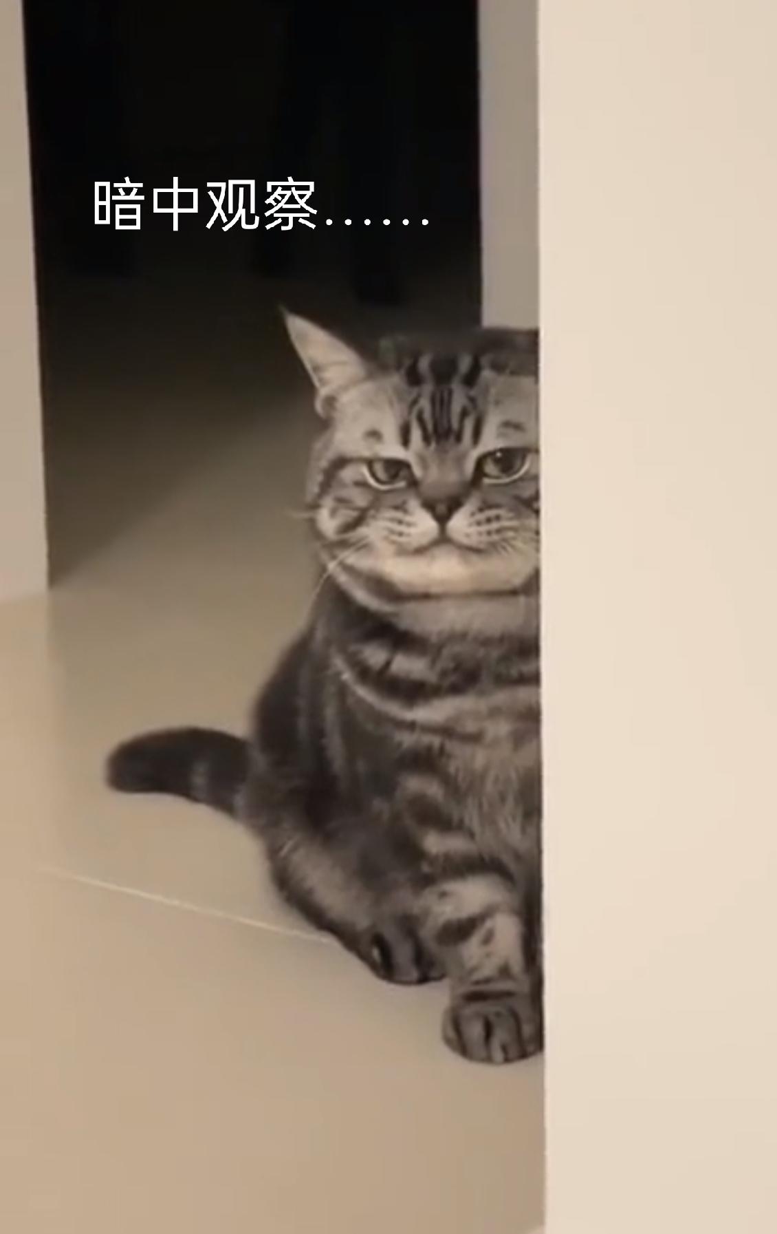 关于我发的全职业角色新副武器的技能