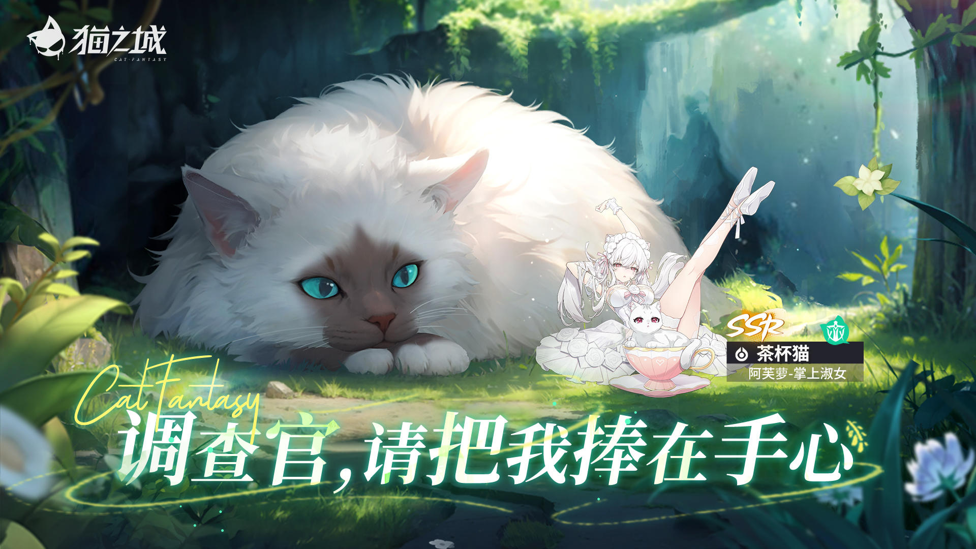 【福利活动】猫与梦的交汇：调查官，请把我捧在手心