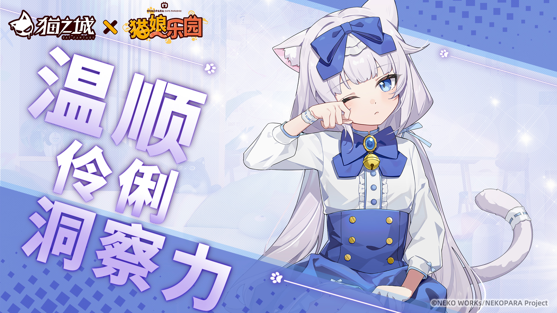 《猫之城》×《猫娘乐园》 联动剪影公开！