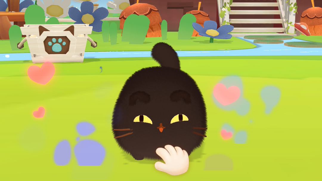 小猫出生日记🐱