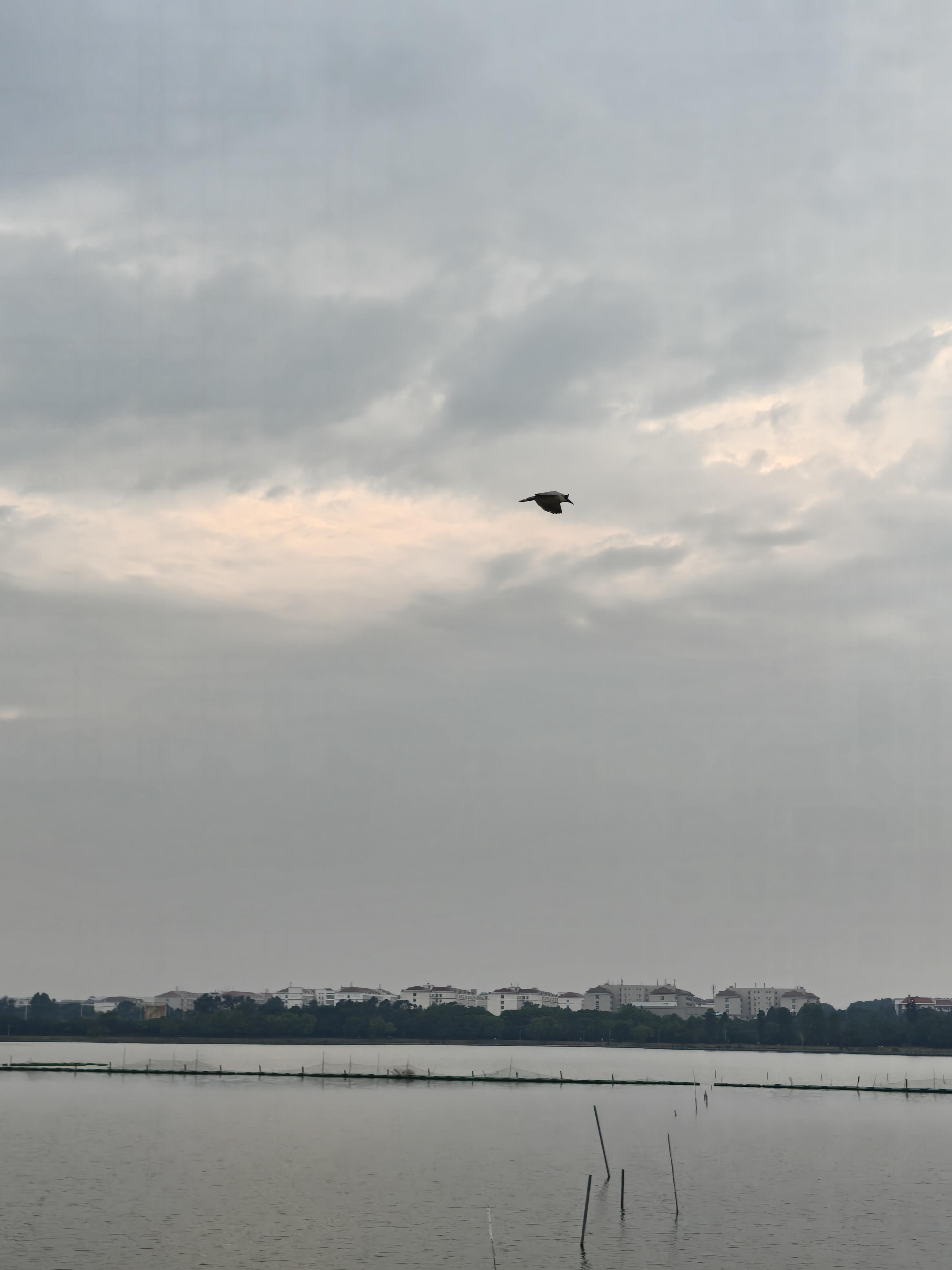 【江湖羁绊】柯降龙与聂尊的师徒孽缘