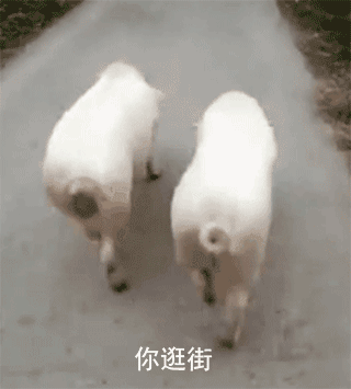 【新区公告】费伦-命运之杖（安卓IOS混服）来袭！