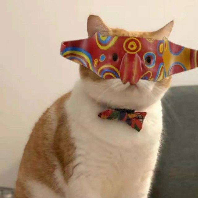 给大伙分享一个乐子