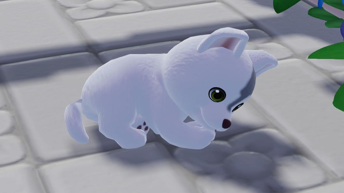 现在更喜欢狗了