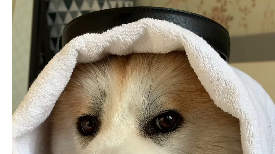 2022版新手开局真实体验，助你少走弯路