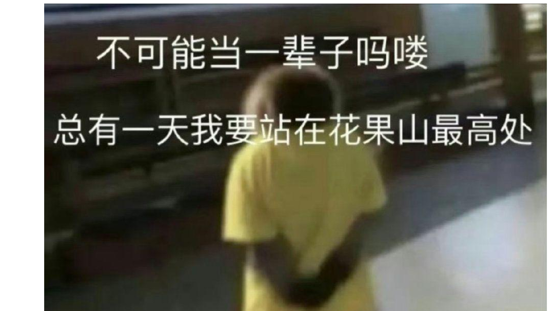 仙魔胎教，此贴为萌新必看，不要让你成为大佬红温的导火索