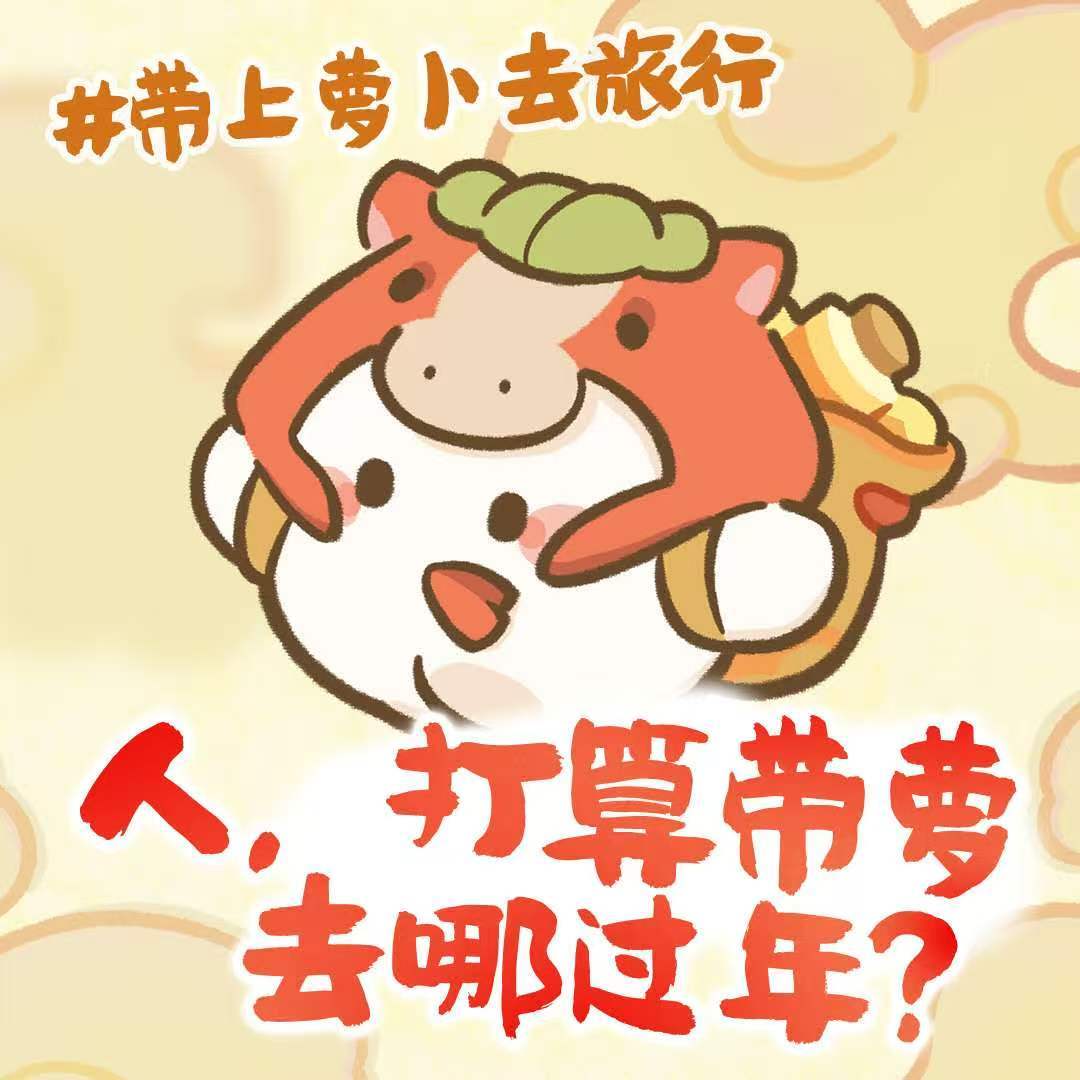 打算带萝去哪过年？