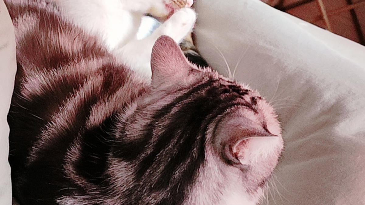 挖矿跳关小技巧