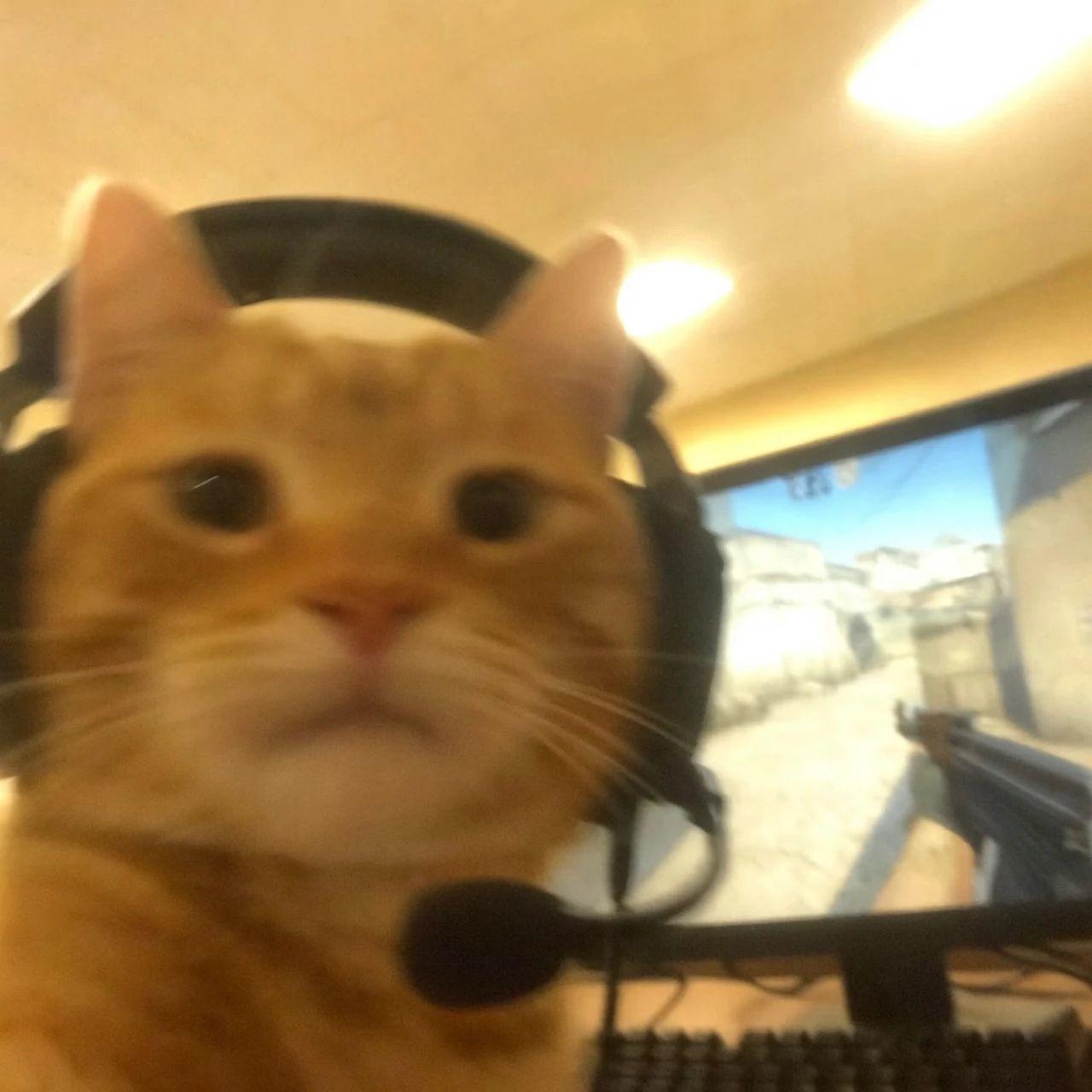 一些隐藏道具的获取方法截图