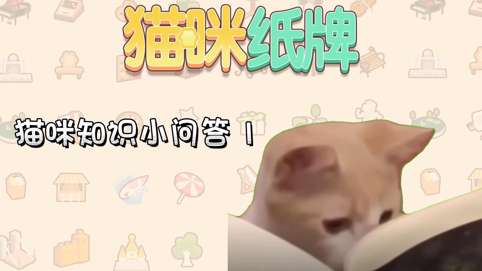 《猫咪纸牌》猫知识小问答 1🐱