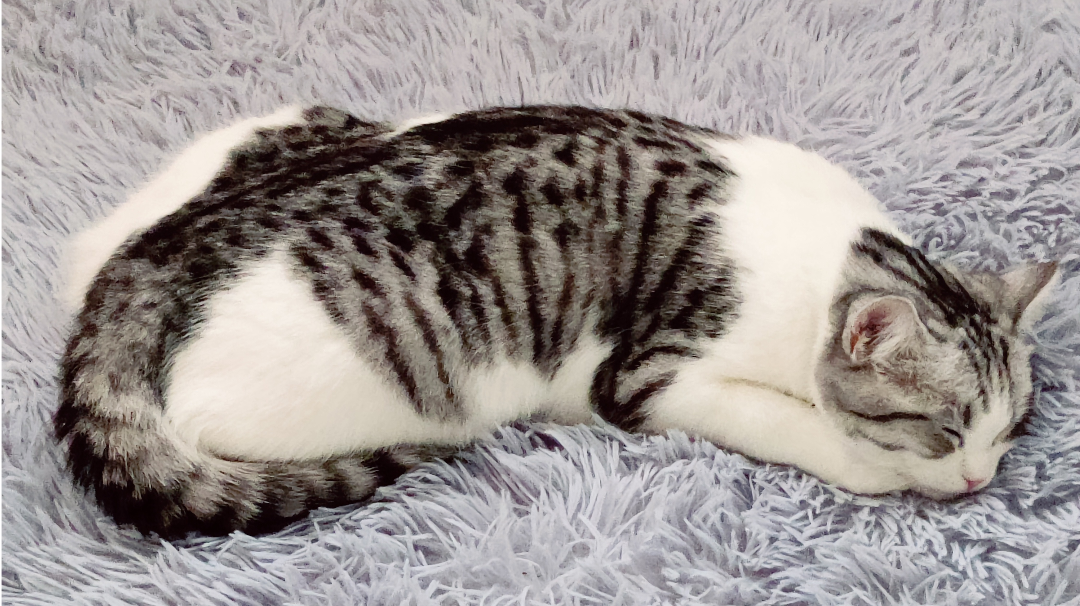 放松一点，悠悠一点（已开奖，结果见新帖）