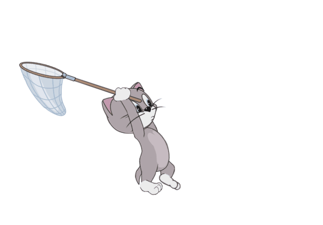 託普斯動作展示丨小奶貓託普斯來啦，智商高捕鼠強就是他！|貓和老鼠 - 第16張