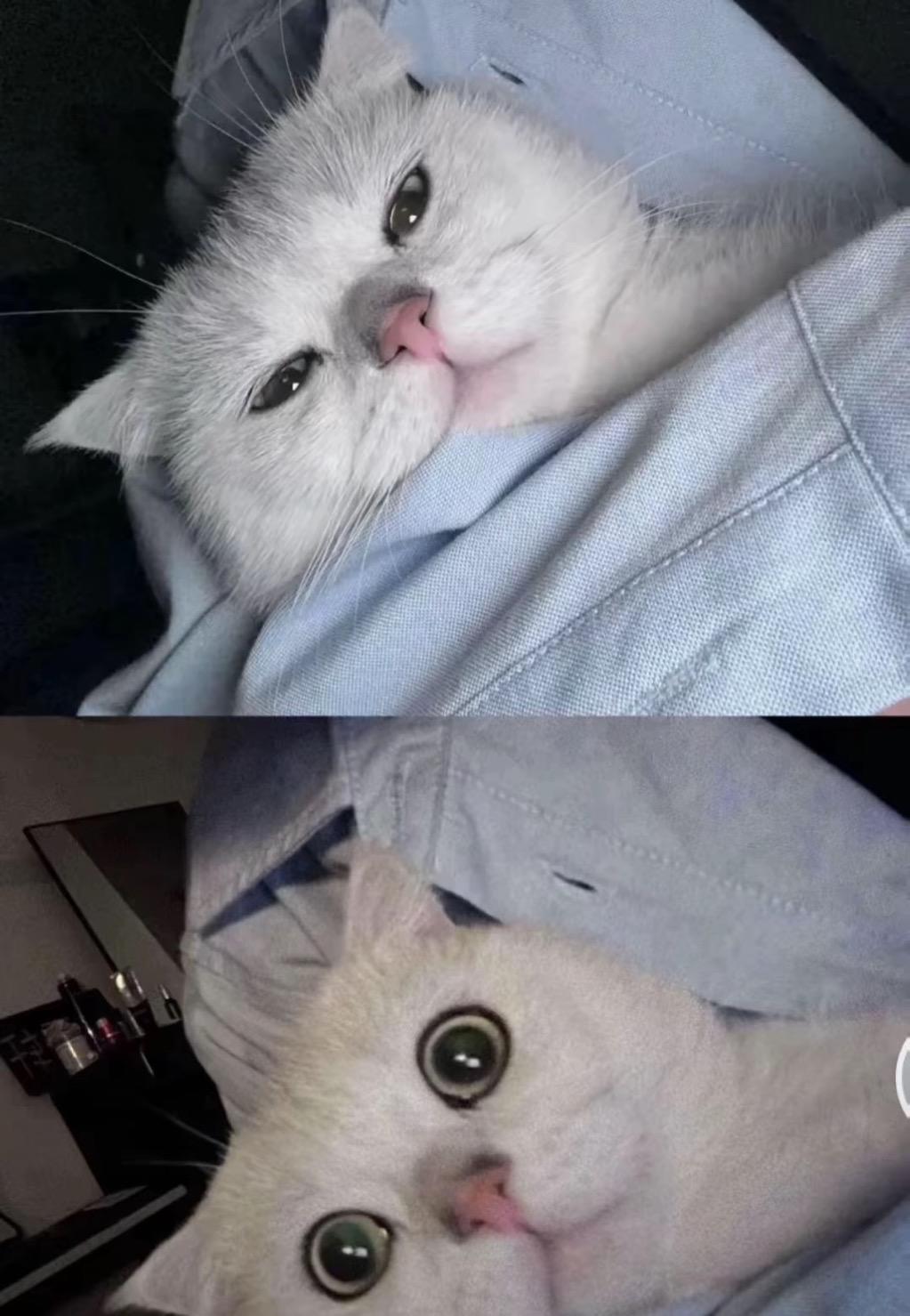 规避牛头出拳的一点小优化