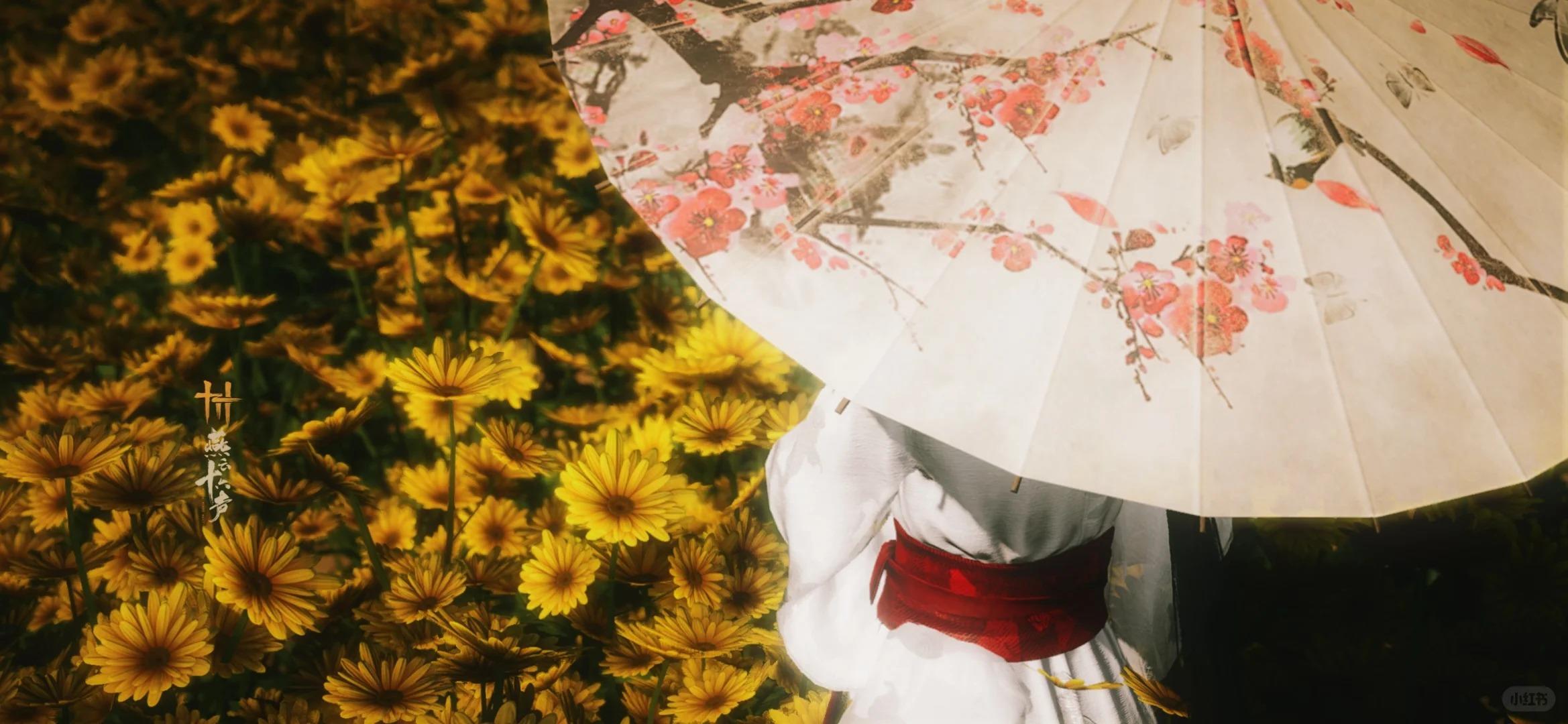 感觉好多少东家都退坑了