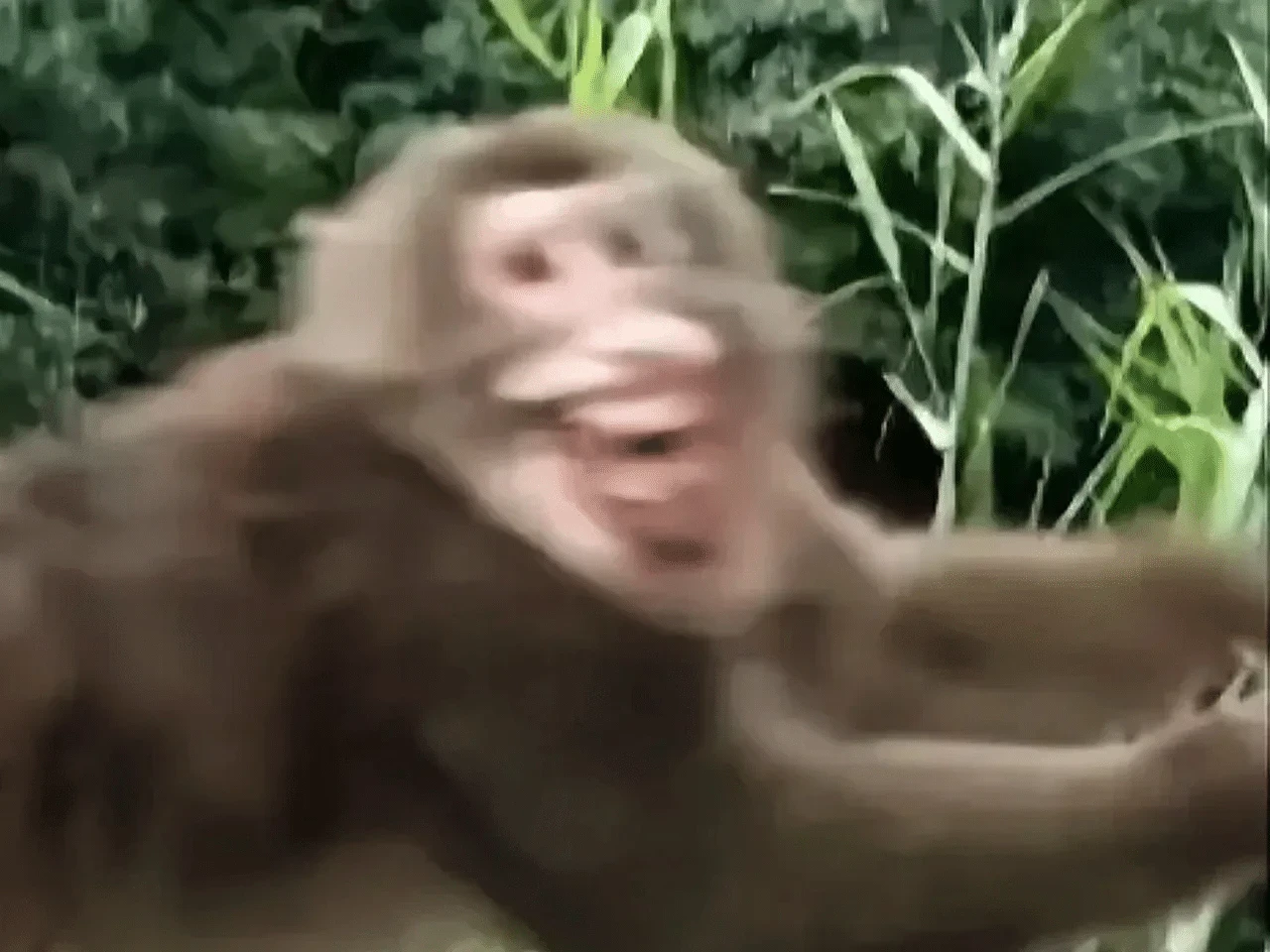 给泰君们的一封信