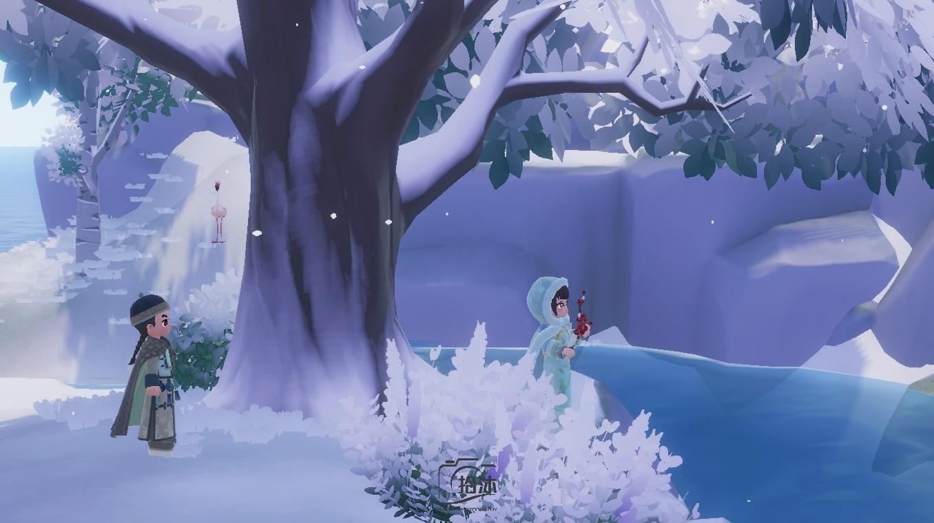 嬛嬛的摄影作品来喽截图