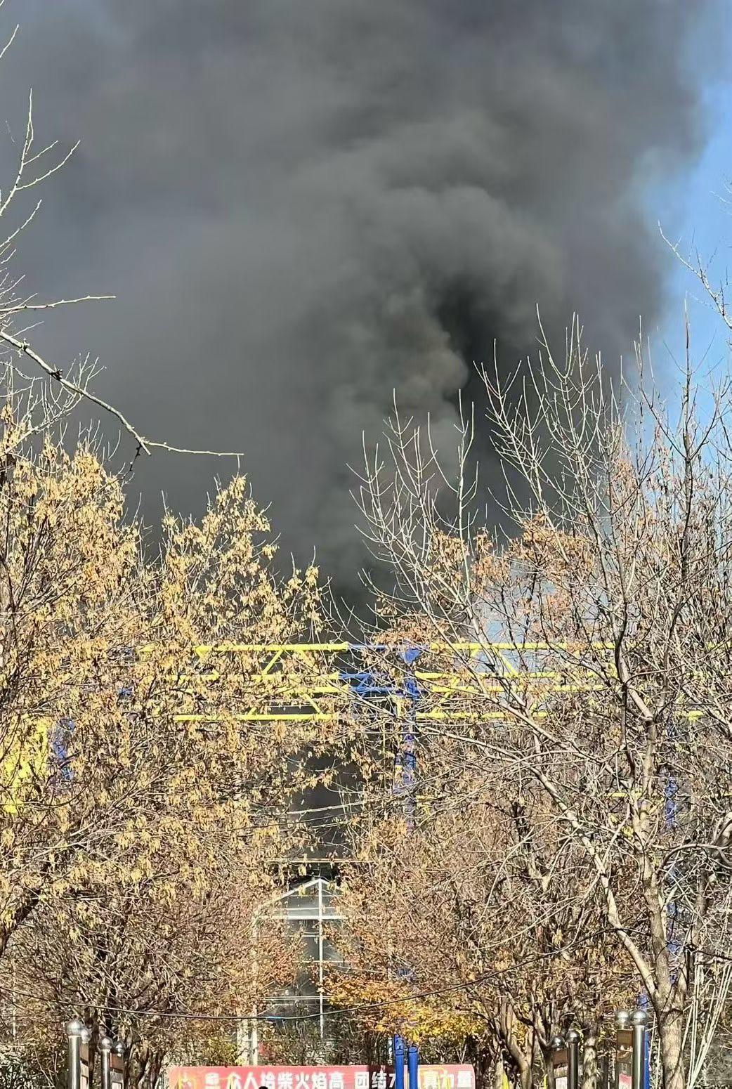 众人拾柴火焰高截图