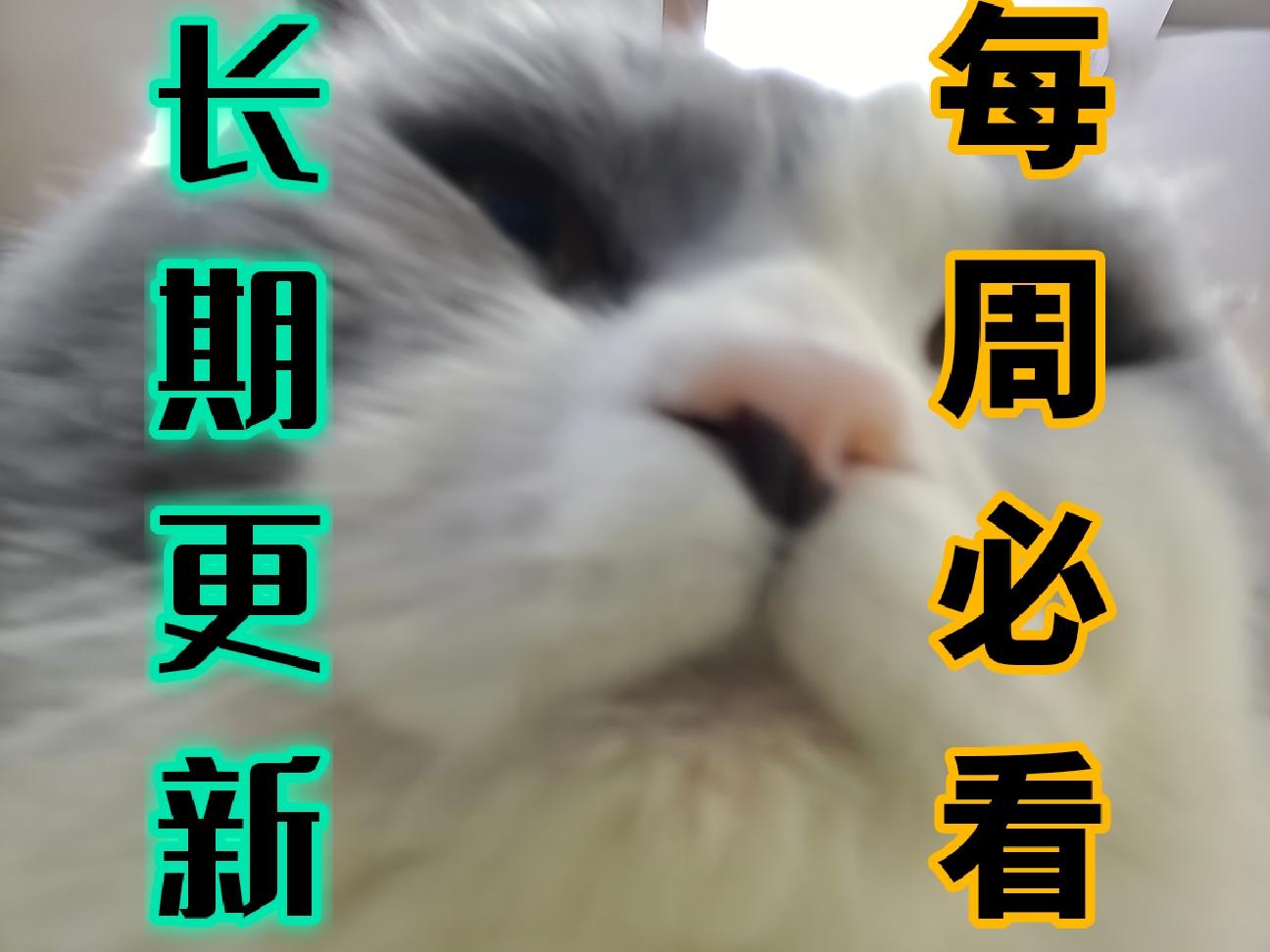 RE：从零开始的抗队思路，新手学会疯狂越战