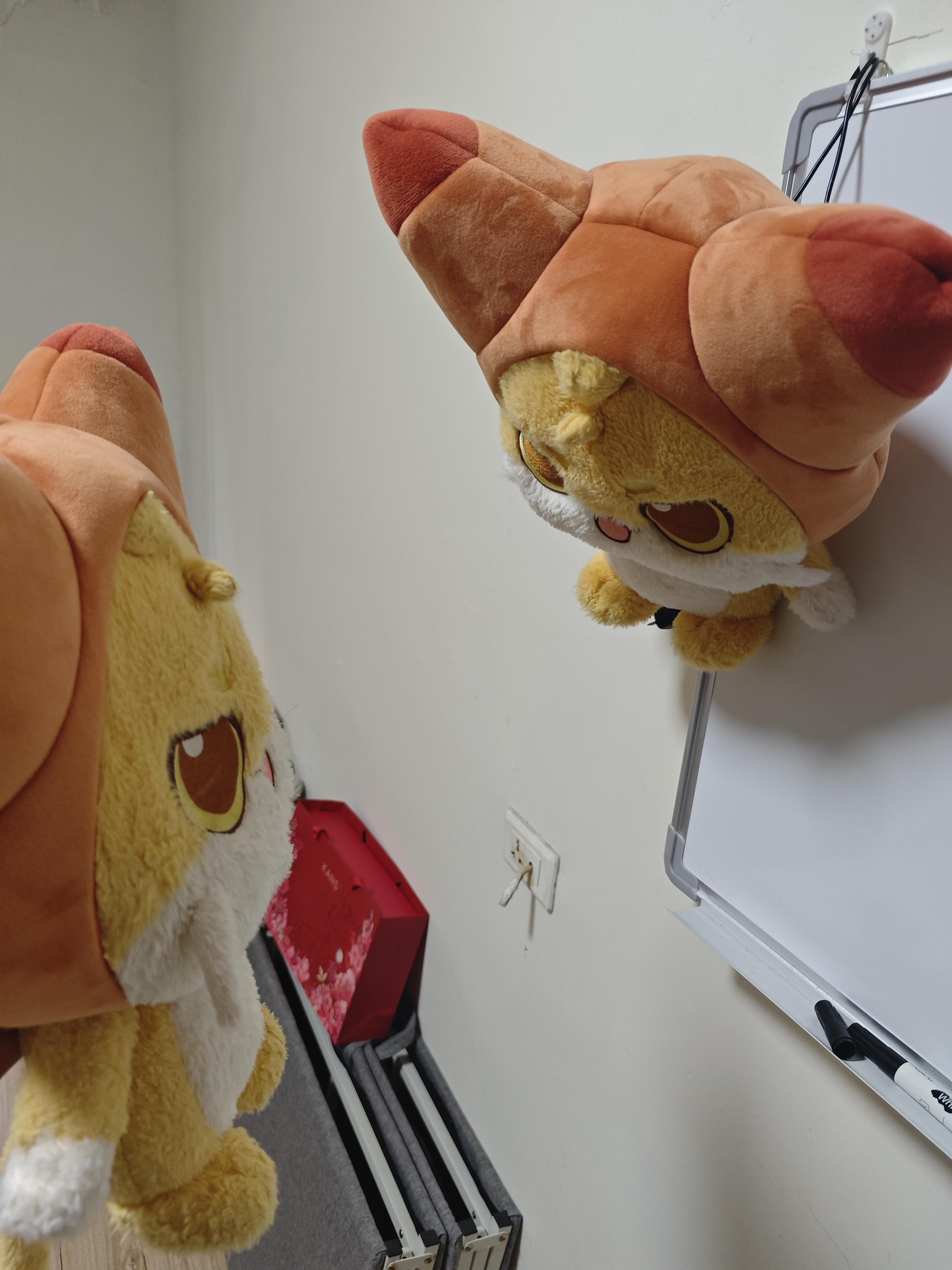 真是一对苦命鸳鸯截图