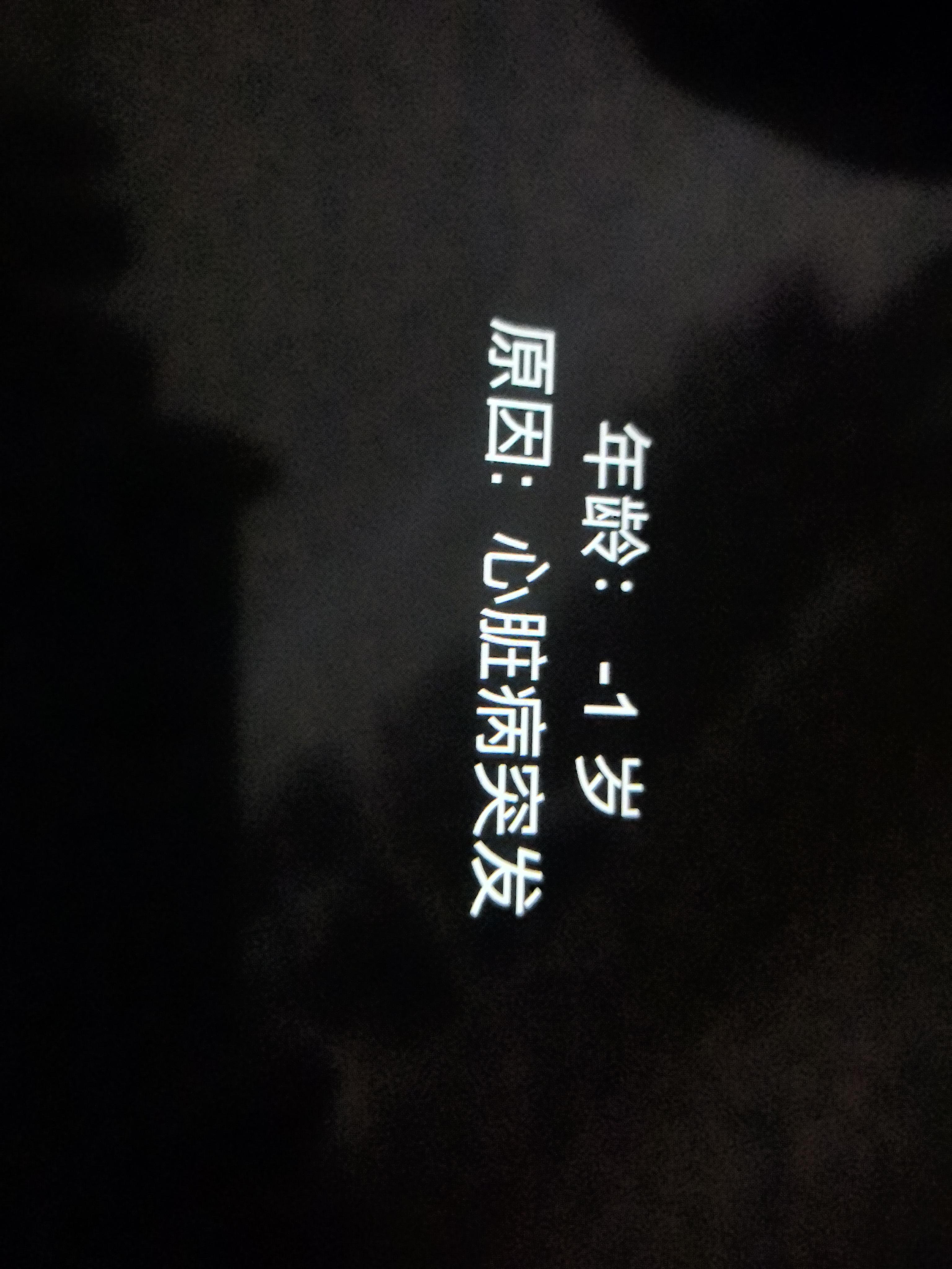 昨天新一，年小明崽，看到你的冰淇淋了！