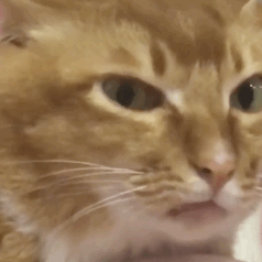 平将门的强度真的合理吗截图