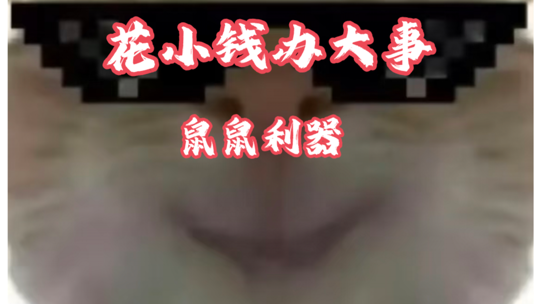 【三角洲行动】高性价比平民神器第四期！花小钱办大事，鼠鼠利器