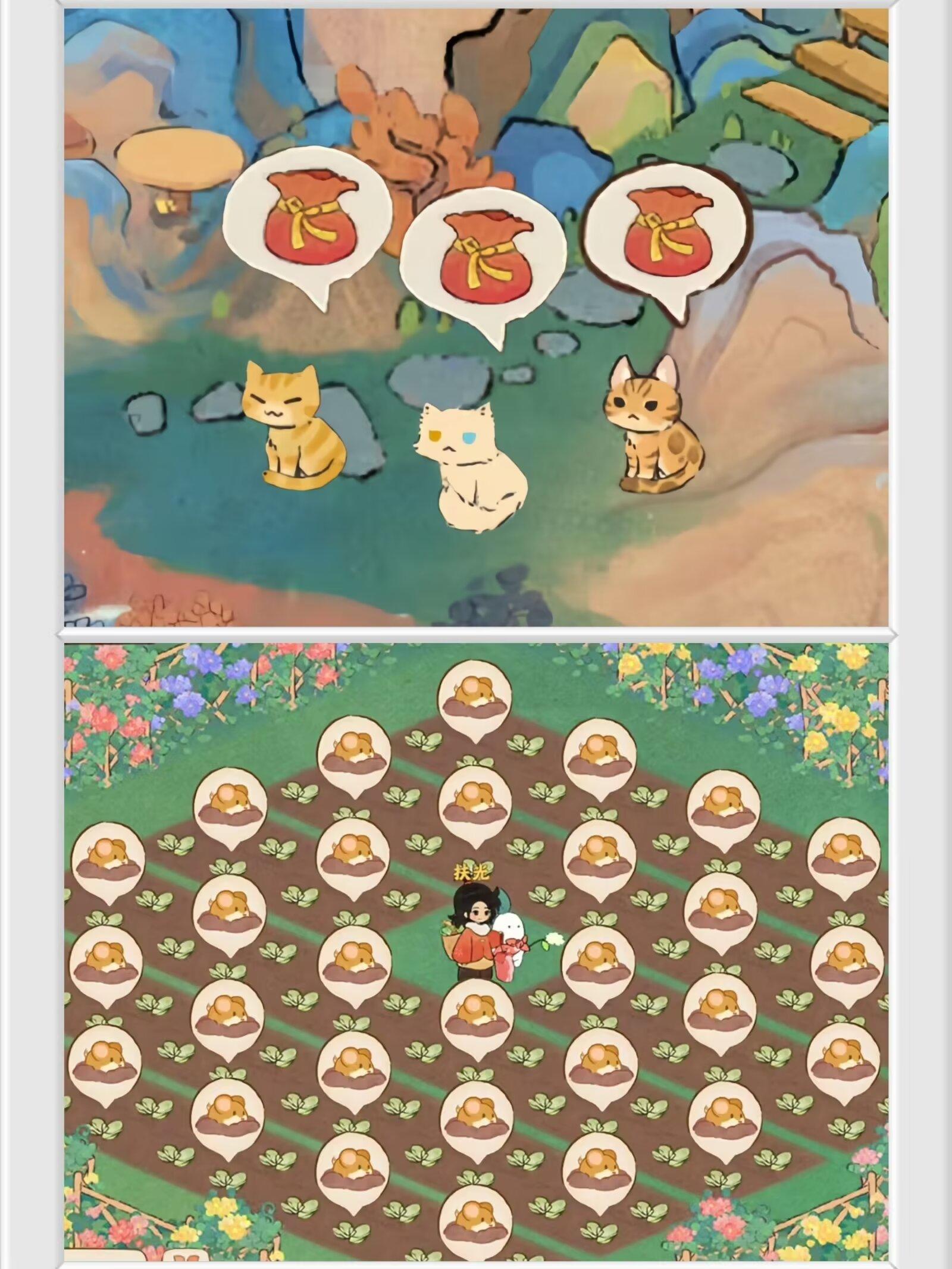 泪崩啦！小猫咪组团回来帮忙除鼠患！