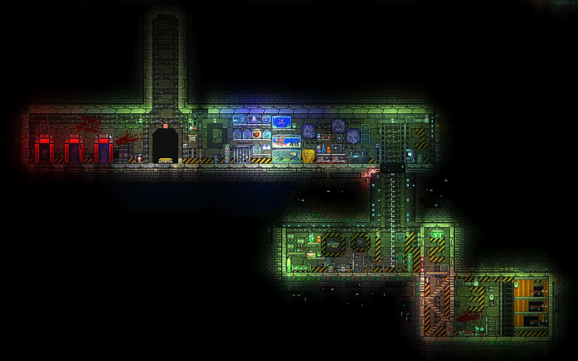 把蜂巢作为实验室装饰品，不过分吧🐶