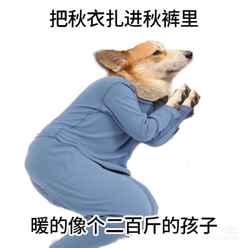 ❄ 大雪｜我们正式步入——需要穿秋裤的季节（内含礼包码）