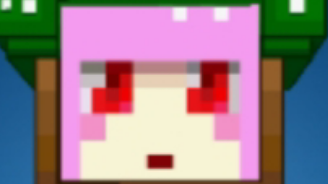 这次ss圣裁者的自定义看法！