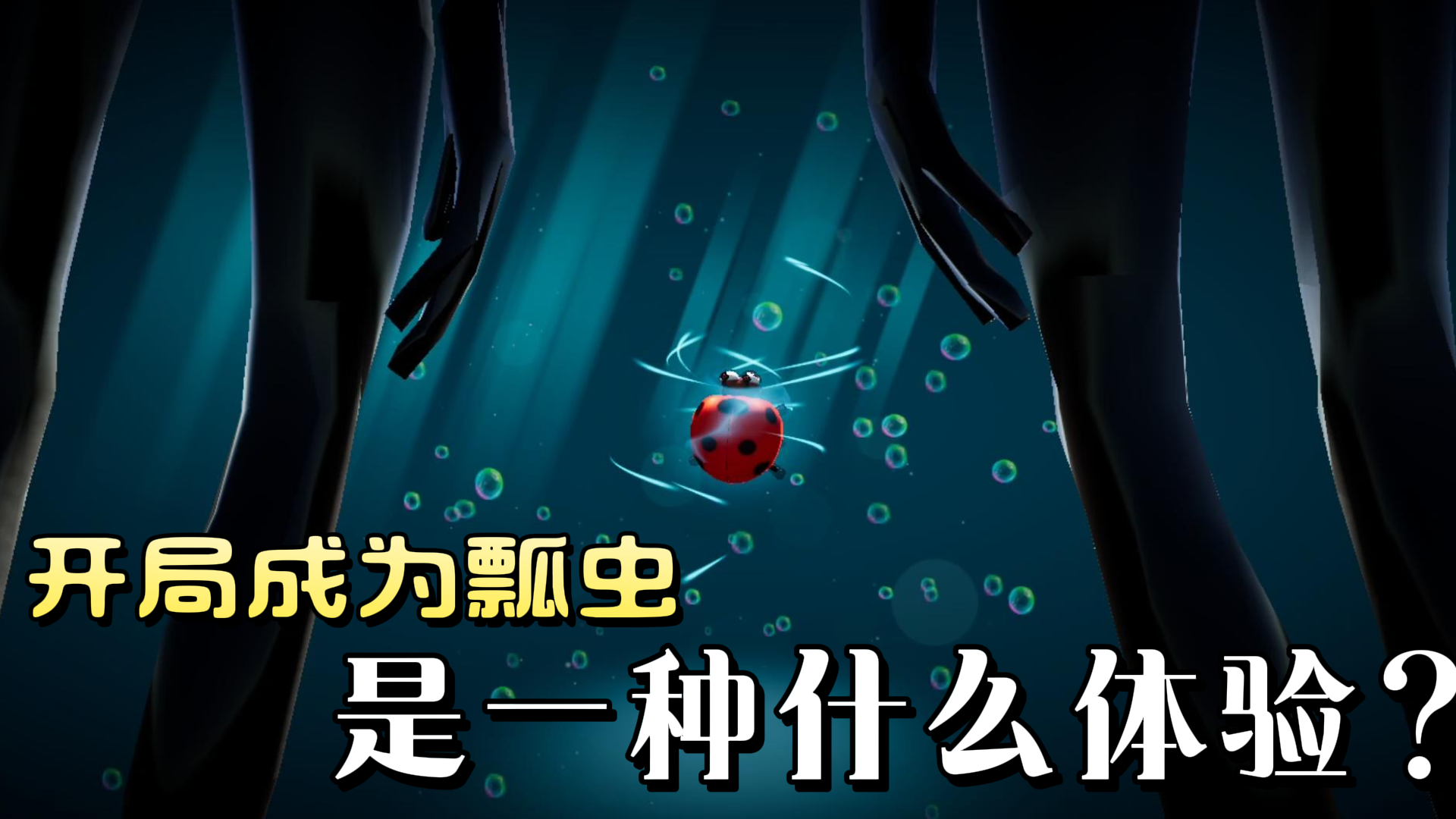 成为瓢虫是一种什么样的体验？独特视角带你领略虫虫的一生。