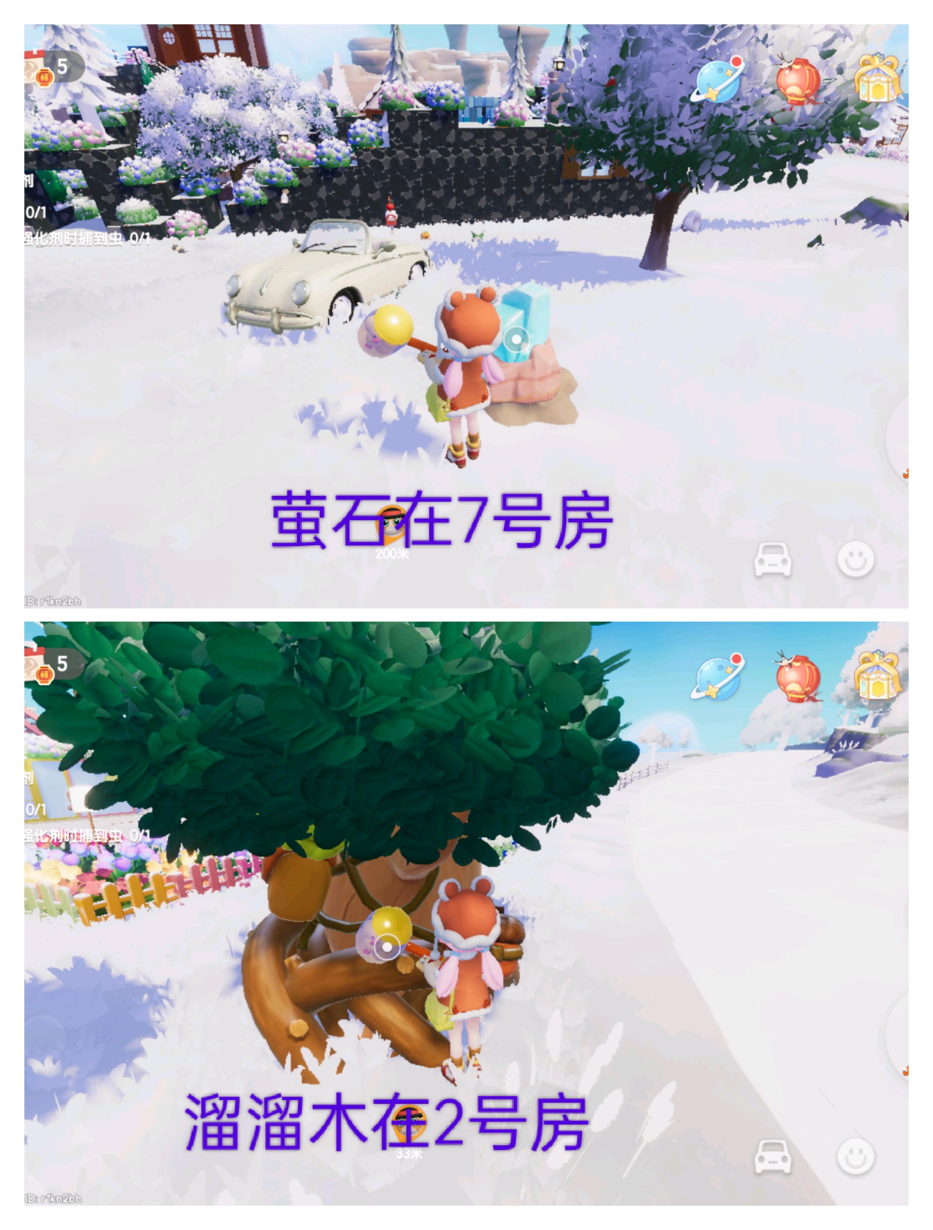 2月6日萤石溜溜木位置