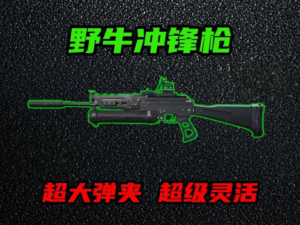 【全面战场】火力压制的连杀机器，野牛冲锋枪精心改装！截图