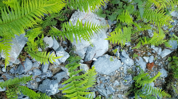 我寄过的那些信