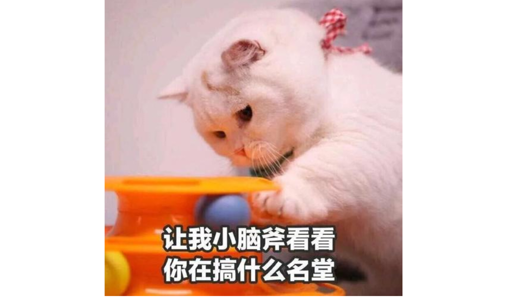 第三届道友答题活动预告，共分千元奖励