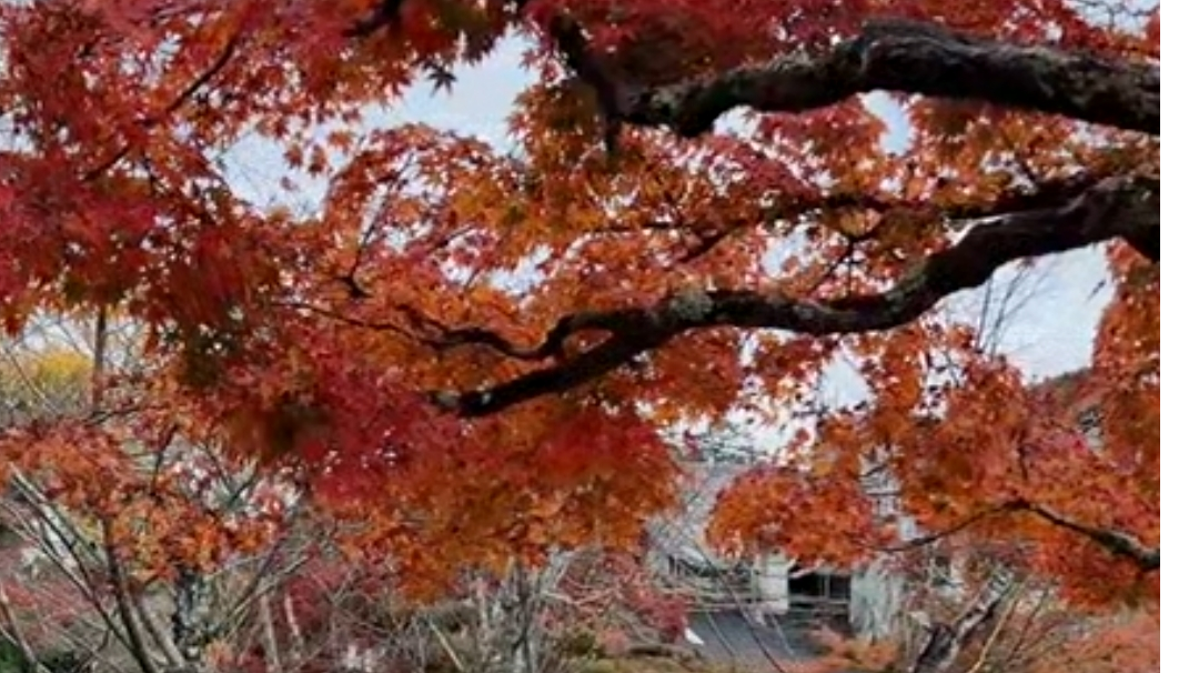 新手开局亲身体验，纯手写干货